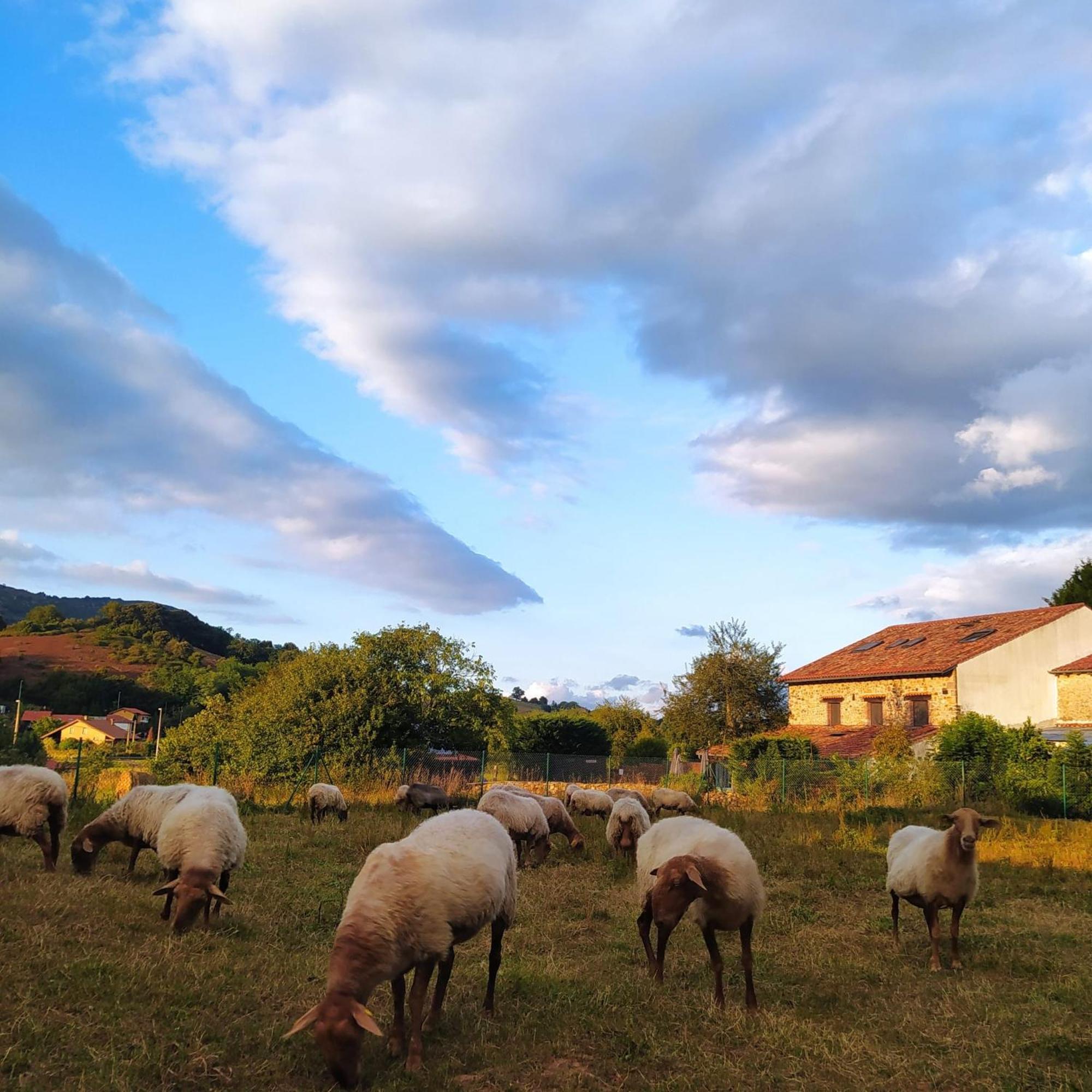 Pámanes Posada La Corralada المظهر الخارجي الصورة